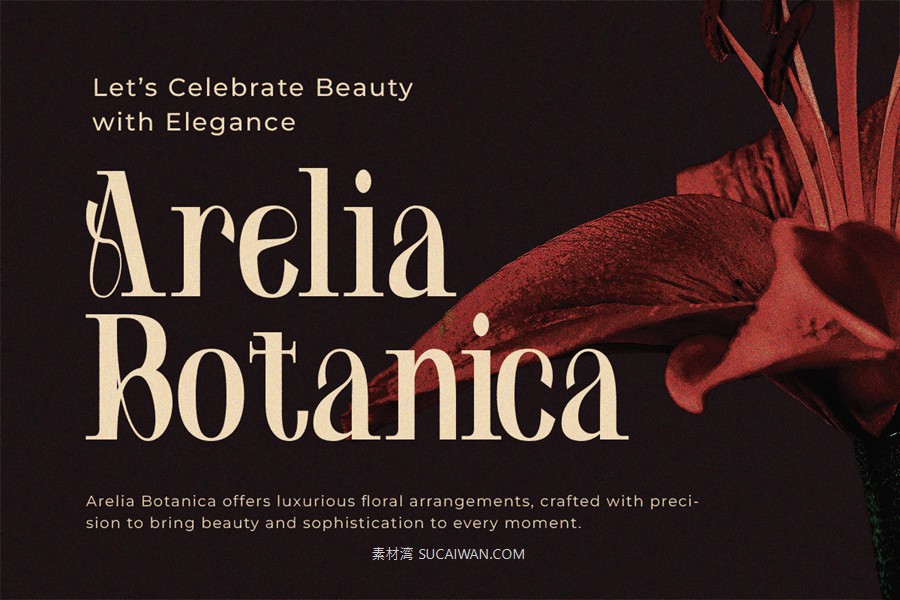 时尚优雅奢华品牌包装徽标设计衬线英文字体安装包 Kagea – Luxury Women Ligature Font , 第7张-素材湾丨精选海外优质设计素材资源 时尚优雅奢华品牌包装徽标设计衬线英文字体安装包 Kagea – Luxury Women Ligature Font , sucaiwan.com