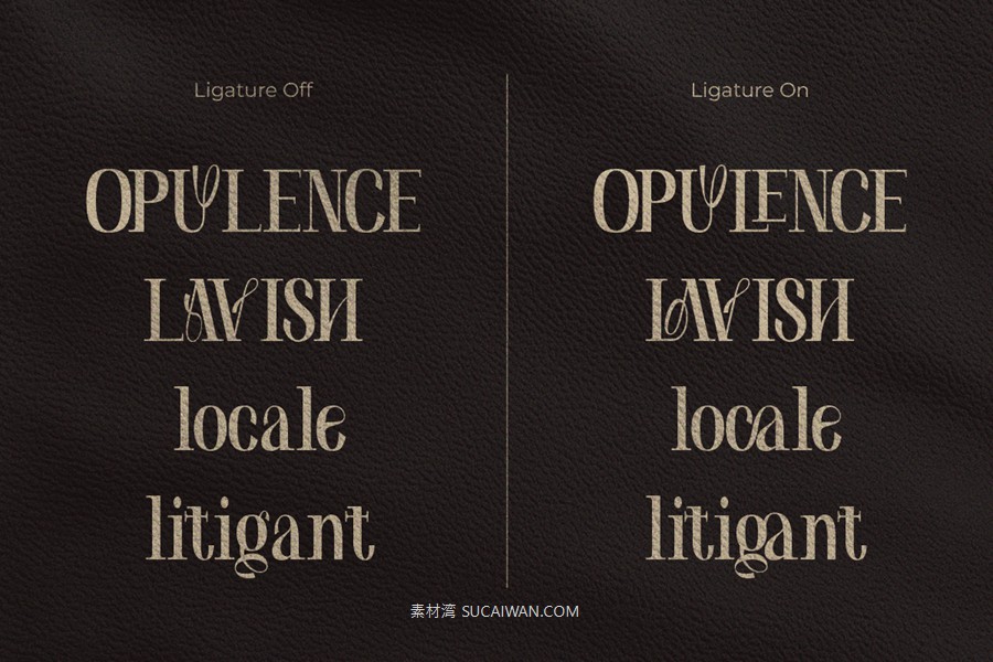 时尚优雅奢华品牌包装徽标设计衬线英文字体安装包 Kagea – Luxury Women Ligature Font , 第5张-素材湾丨精选海外优质设计素材资源 时尚优雅奢华品牌包装徽标设计衬线英文字体安装包 Kagea – Luxury Women Ligature Font , sucaiwan.com