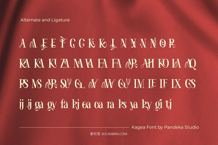 时尚优雅奢华品牌包装徽标设计衬线英文字体安装包 Kagea – Luxury Women Ligature Font , 第8张-素材湾丨精选海外优质设计素材资源 时尚优雅奢华品牌包装徽标设计衬线英文字体安装包 Kagea – Luxury Women Ligature Font , sucaiwan.com