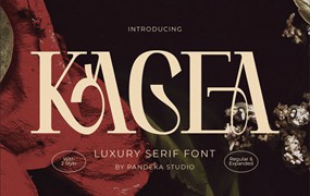 时尚优雅奢华品牌包装徽标设计衬线英文字体安装包 Kagea – Luxury Women Ligature Font