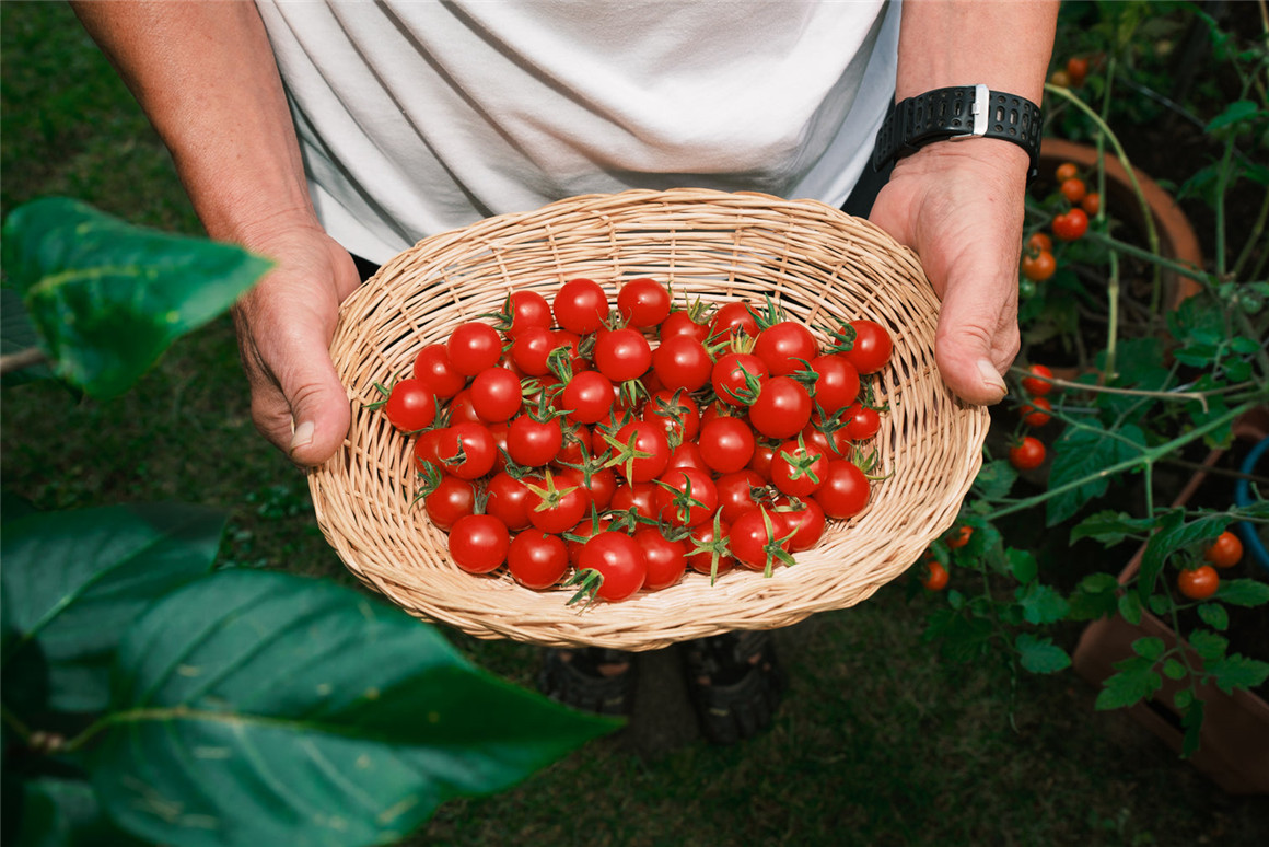 经典富士胶片模拟颗粒光晕城市人像风光摄影Lightroom调色预设 The Classic Presets - Classic X Film Simulations , 第6张-素材湾丨精选海外优质设计素材资源 经典富士胶片模拟颗粒光晕城市人像风光摄影Lightroom调色预设 The Classic Presets - Classic X Film Simulations , sucaiwan.com