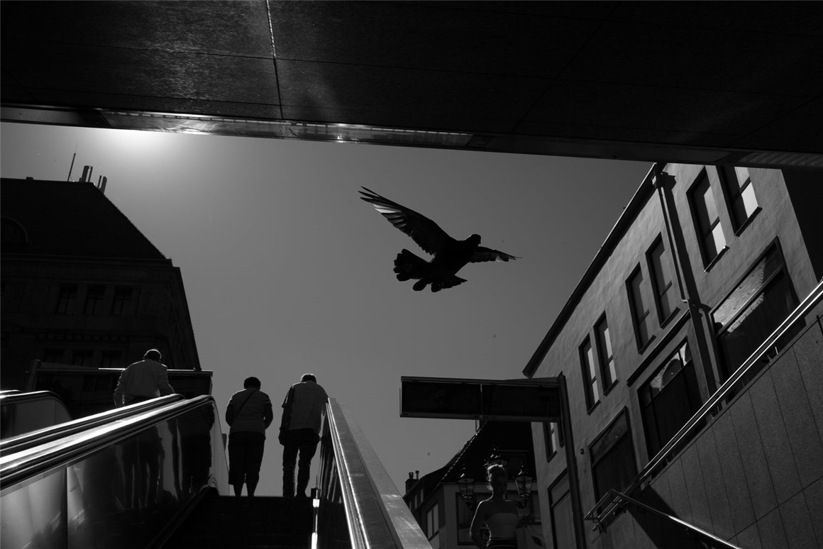 经典富士胶片模拟颗粒光晕城市人像风光摄影Lightroom调色预设 The Classic Presets - Classic X Film Simulations , 第17张-素材湾丨精选海外优质设计素材资源 经典富士胶片模拟颗粒光晕城市人像风光摄影Lightroom调色预设 The Classic Presets - Classic X Film Simulations , sucaiwan.com