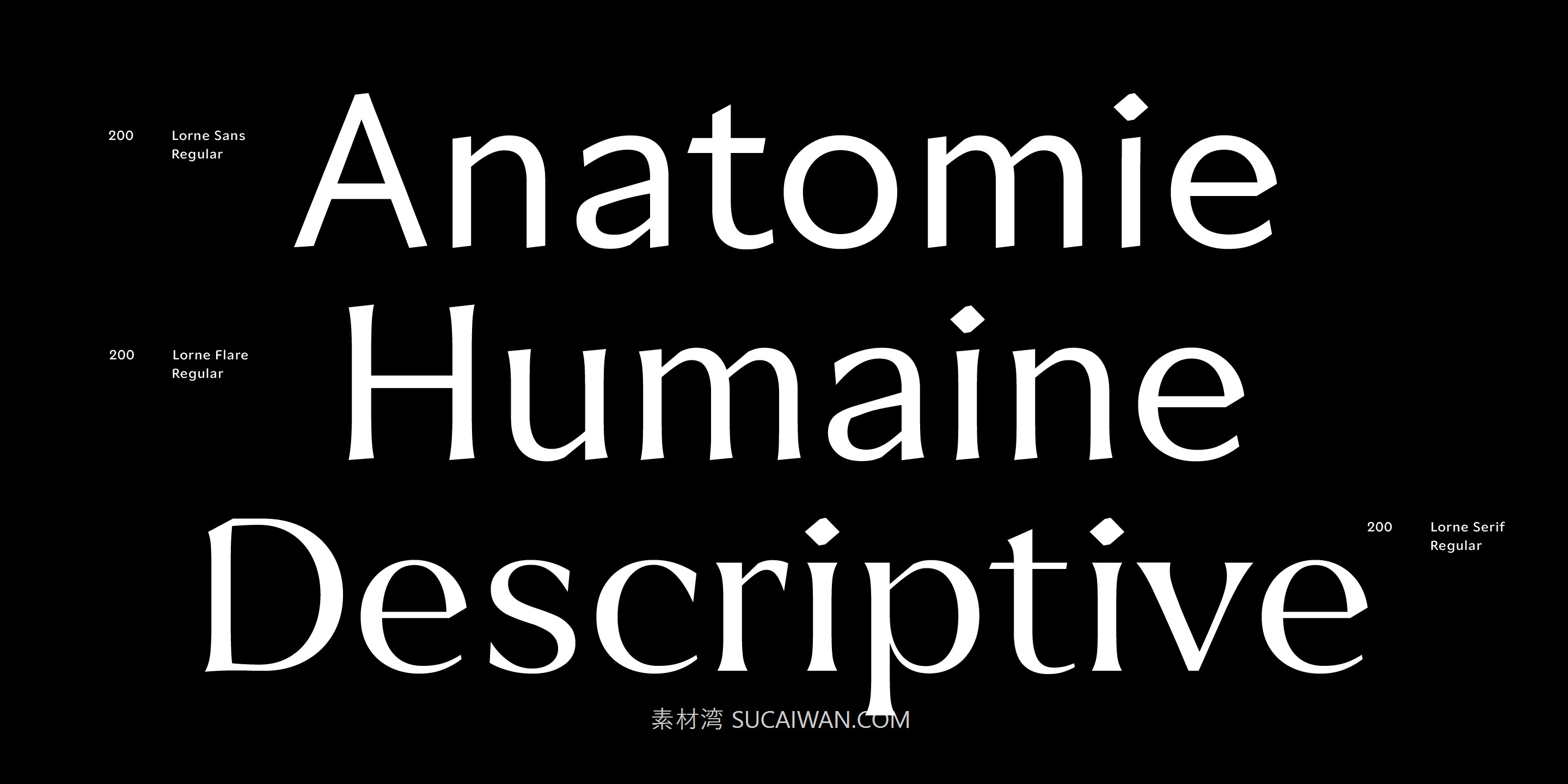 经典优雅女性化视觉海报标题标签品牌Logo设计衬线英文字体安装包 MyFonts – Lorne Font Family 设计素材 sucaiwan.com