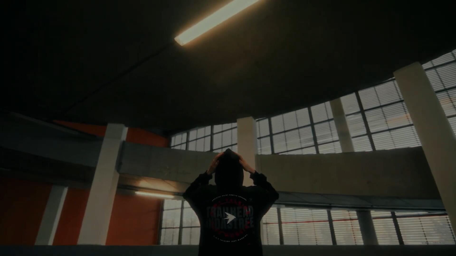 22组佳能、索尼、BMPCC、ARRI电影胶片模拟log转rec709视频调色lut预设包 MLSHV – LUTs PACK 插件预设 sucaiwan.com