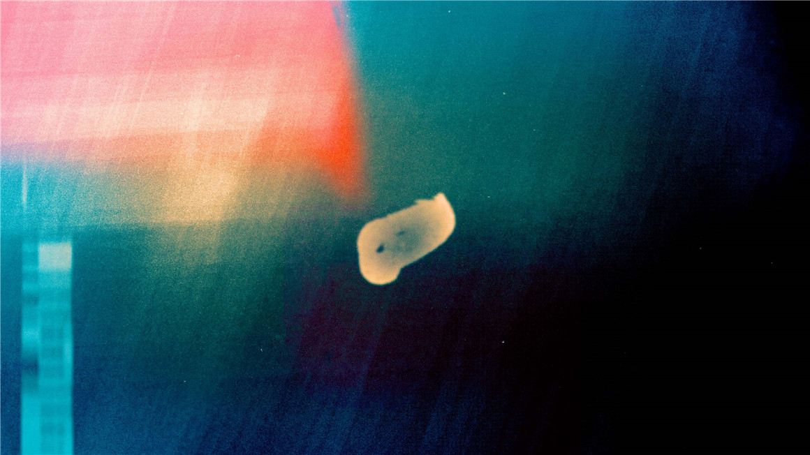 全新霓虹灯视觉胶片叠加转场过渡+音效素材 , 第13张-素材湾丨精选海外优质设计素材资源 全新霓虹灯视觉胶片叠加转场过渡+音效素材 , sucaiwan.com