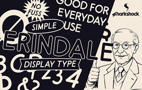 复古手绘海报漫画徽标设计无衬线英文字体安装包 Erindale