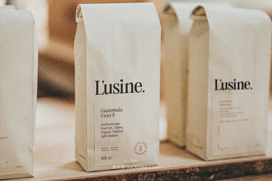 经典优雅复古美学徽标logo包装标题婚礼海报设计衬线英文字体安装包 Fitzgerald — Classic Retro Serif 设计素材 第12张-素材湾丨精选海外优质设计素材资源 经典优雅复古美学徽标logo包装标题婚礼海报设计衬线英文字体安装包 Fitzgerald — Classic Retro Serif 设计素材 sucaiwan.com