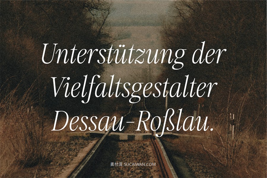 经典优雅复古美学徽标logo包装标题婚礼海报设计衬线英文字体安装包 Fitzgerald — Classic Retro Serif 设计素材 第16张-素材湾丨精选海外优质设计素材资源 经典优雅复古美学徽标logo包装标题婚礼海报设计衬线英文字体安装包 Fitzgerald — Classic Retro Serif 设计素材 sucaiwan.com