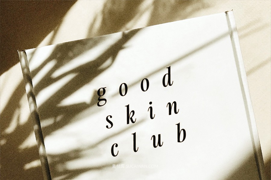 经典优雅复古美学徽标logo包装标题婚礼海报设计衬线英文字体安装包 Fitzgerald — Classic Retro Serif 设计素材 第18张-素材湾丨精选海外优质设计素材资源 经典优雅复古美学徽标logo包装标题婚礼海报设计衬线英文字体安装包 Fitzgerald — Classic Retro Serif 设计素材 sucaiwan.com