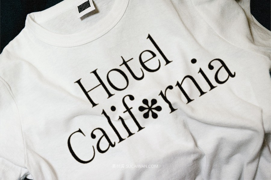 经典优雅复古美学徽标logo包装标题婚礼海报设计衬线英文字体安装包 Fitzgerald — Classic Retro Serif 设计素材 第22张-素材湾丨精选海外优质设计素材资源 经典优雅复古美学徽标logo包装标题婚礼海报设计衬线英文字体安装包 Fitzgerald — Classic Retro Serif 设计素材 sucaiwan.com