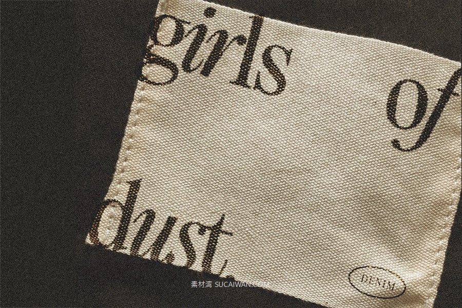 经典优雅复古美学徽标logo包装标题婚礼海报设计衬线英文字体安装包 Fitzgerald — Classic Retro Serif 设计素材 第28张-素材湾丨精选海外优质设计素材资源 经典优雅复古美学徽标logo包装标题婚礼海报设计衬线英文字体安装包 Fitzgerald — Classic Retro Serif 设计素材 sucaiwan.com