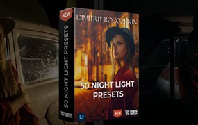 50款黑暗夜间街头扫街人像摄影照片调色Lightroom预设包 Dimitry Rogozhkin – Night Light Presets