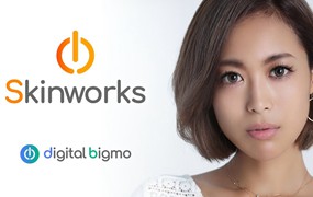 AE/PR/达芬奇插件：磨皮美颜皮肤美白修饰插件包汉化版 Digitalbigmo Skinworks 2024.11.00 Win一键安装
