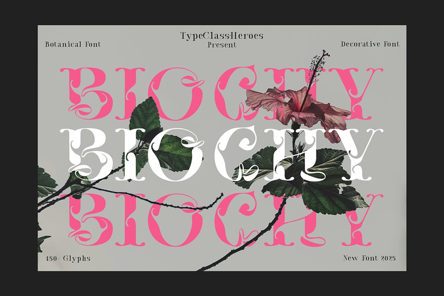 时尚奢华海报婚礼徽标设计衬线英文字体安装包 Biochy Luxury Serif 设计素材 sucaiwan.com