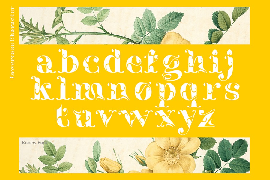 时尚奢华海报婚礼徽标设计衬线英文字体安装包 Biochy Luxury Serif 设计素材 sucaiwan.com