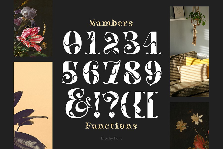 时尚奢华海报婚礼徽标设计衬线英文字体安装包 Biochy Luxury Serif 设计素材 sucaiwan.com