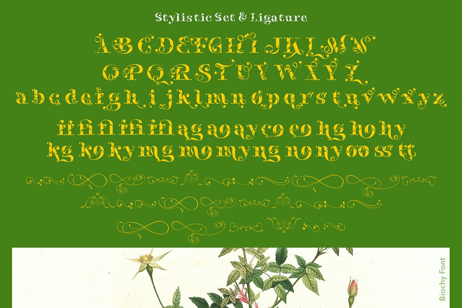 时尚奢华海报婚礼徽标设计衬线英文字体安装包 Biochy Luxury Serif 设计素材 sucaiwan.com