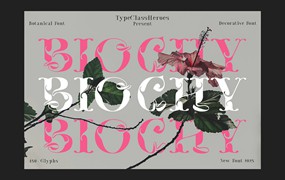 时尚奢华海报婚礼徽标设计衬线英文字体安装包 Biochy Luxury Serif