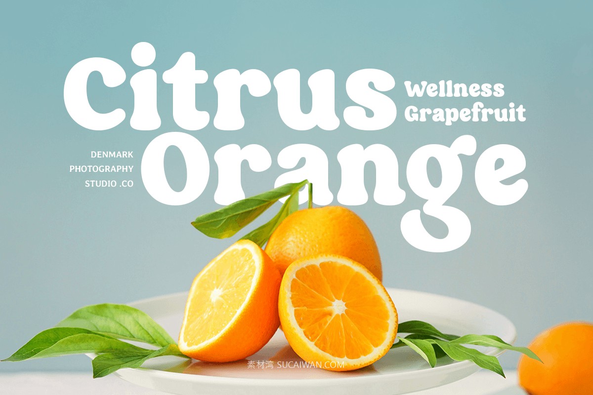 现代复古电影海报品牌徽标设计衬线英文字体安装包 Thick – Retro Vintage Cinematic Font 设计素材 第12张-素材湾丨精选海外优质设计素材资源 现代复古电影海报品牌徽标设计衬线英文字体安装包 Thick – Retro Vintage Cinematic Font 设计素材 sucaiwan.com