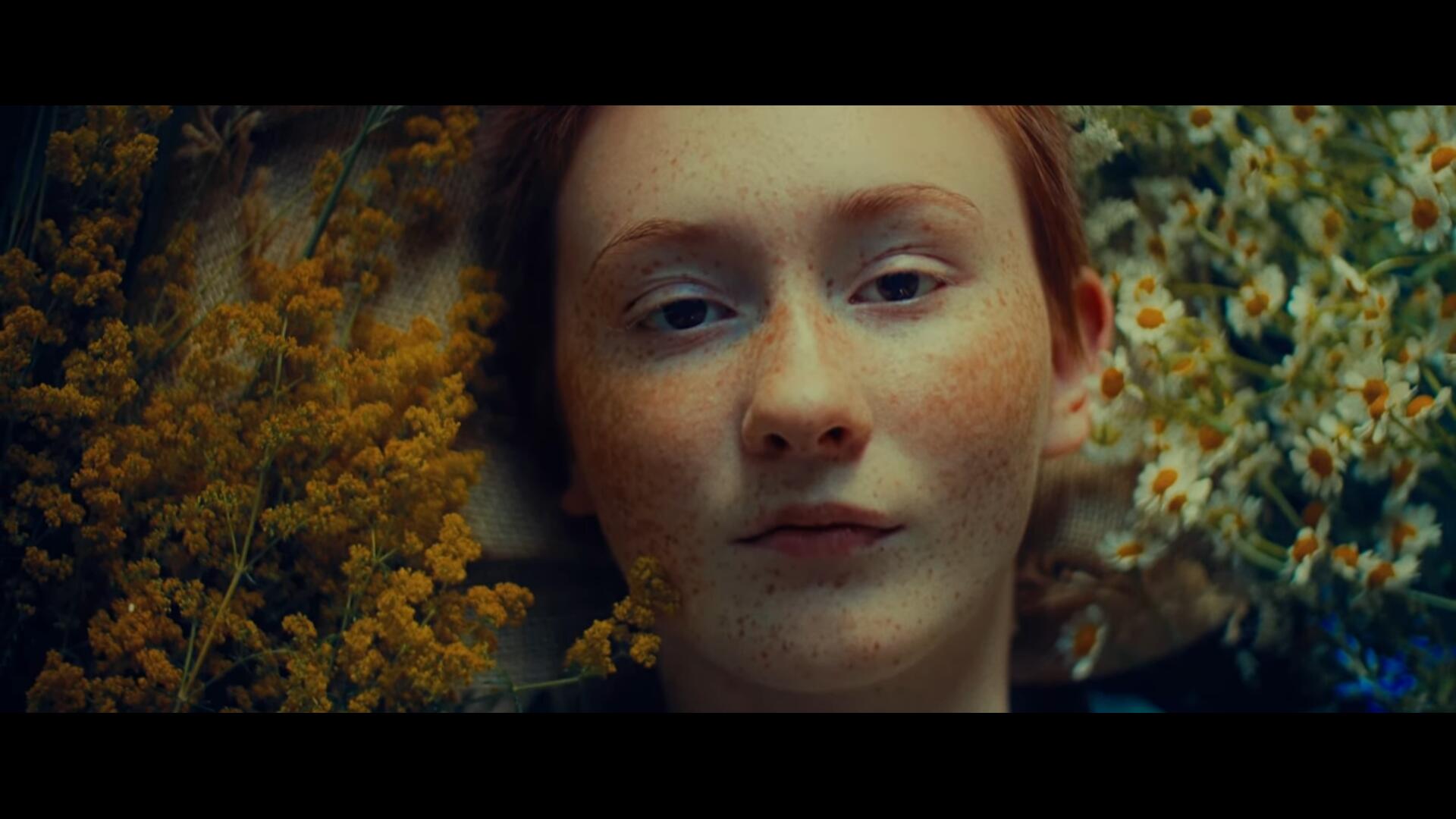 一键电影化柯达2383复古美学胶片模拟色彩摄影调色LUT预设包 Kodak 2383 LUT , sucaiwan.com