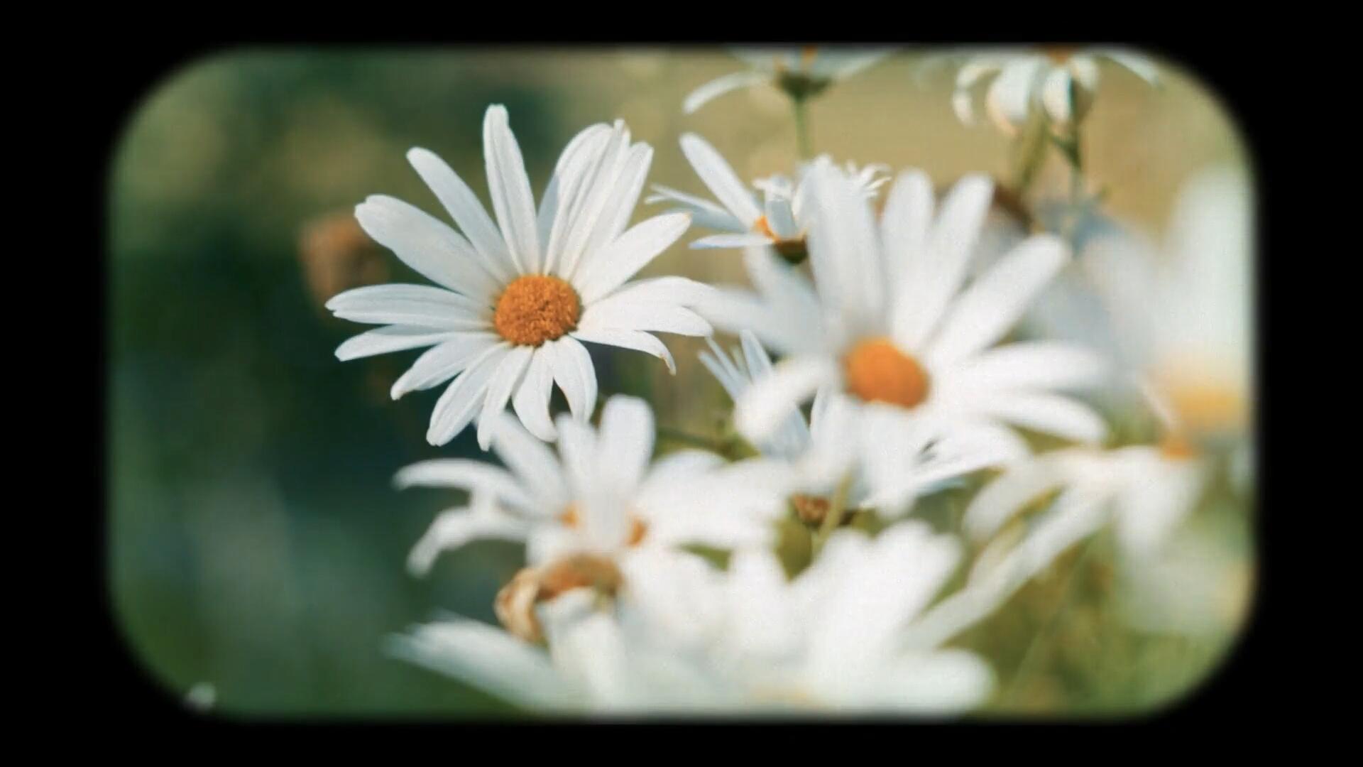 达芬奇预设：复古16mm胶片质感老式电影放映机转场过渡+音效 , sucaiwan.com