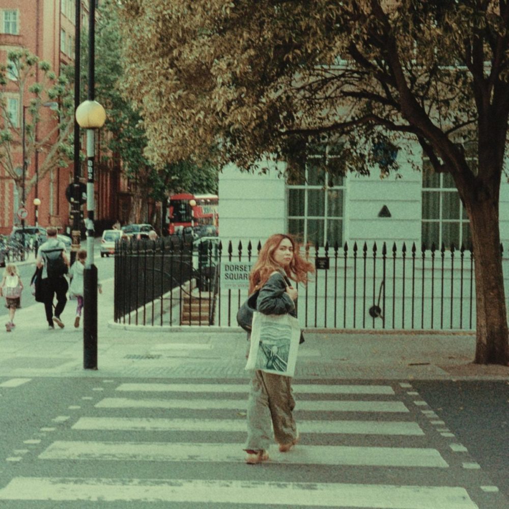 富士D65 16mm胶片颗粒模拟复古怀旧电影外观扫街照片调色Lightroom预设 Analogica Lab – FJI FPE D65 , sucaiwan.com