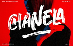 现代时尚杂志包装邀请函徽标设计手写英文字体安装包 Chanela Authentic Brush Font