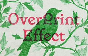 复古印刷污迹墨迹海报效果Photoshop(PSD)模板样机 Vintage Overprint Grunge Effect
