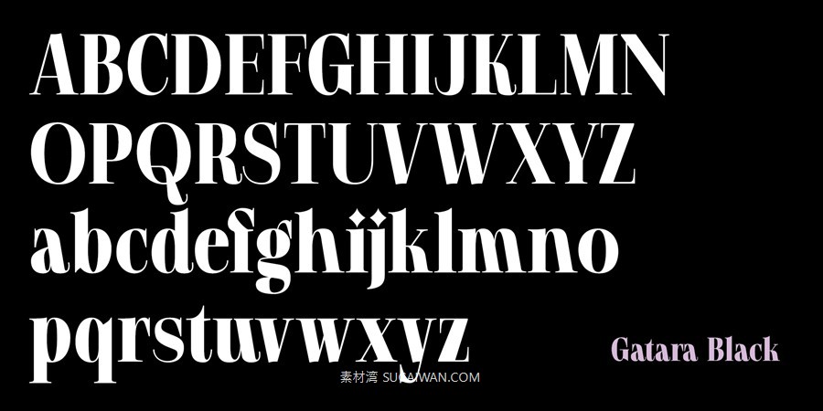 12款字重现代优雅标题标签杂志标题徽标logo设计psai衬线英文字体安装包 MyFonts – Gatara Font Family 设计素材 sucaiwan.com
