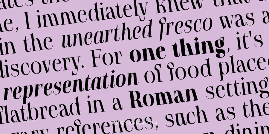 12款字重现代优雅标题标签杂志标题徽标logo设计psai衬线英文字体安装包 MyFonts – Gatara Font Family 设计素材 sucaiwan.com