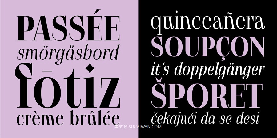 12款字重现代优雅标题标签杂志标题徽标logo设计psai衬线英文字体安装包 MyFonts – Gatara Font Family 设计素材 sucaiwan.com