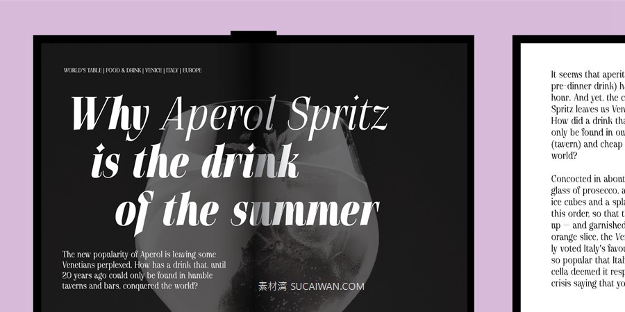 12款字重现代优雅标题标签杂志标题徽标logo设计psai衬线英文字体安装包 MyFonts – Gatara Font Family 设计素材 sucaiwan.com