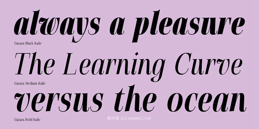 12款字重现代优雅标题标签杂志标题徽标logo设计psai衬线英文字体安装包 MyFonts – Gatara Font Family 设计素材 sucaiwan.com