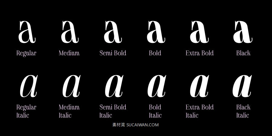 12款字重现代优雅标题标签杂志标题徽标logo设计psai衬线英文字体安装包 MyFonts – Gatara Font Family 设计素材 sucaiwan.com