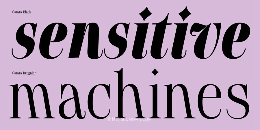 12款字重现代优雅标题标签杂志标题徽标logo设计psai衬线英文字体安装包 MyFonts – Gatara Font Family 设计素材 sucaiwan.com