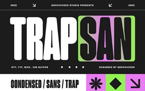 现代时尚杂志包装徽标设计无衬线英文字体安装包 Trapsan