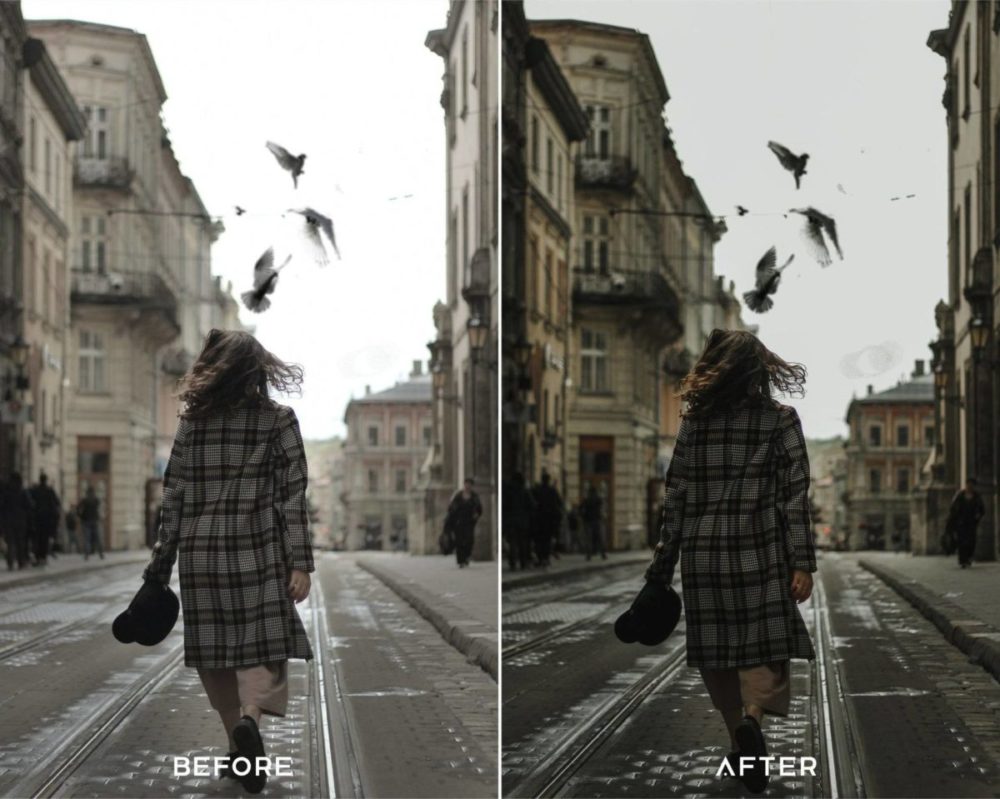 12款电影质感户外旅行扫街街拍肖像照片调色Lightroom预设 Presets.io – Product Preset Collection , sucaiwan.com