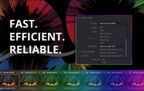 达芬奇插件：视频渲染编解码器输出插件 MainConcept Codec Plugin v1.6.1 CE Win for DaVinci Resolve